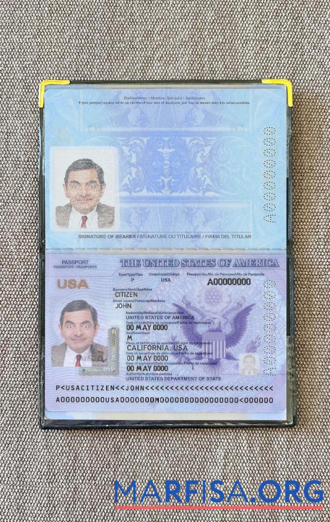 Downloadable USA passport 2020 2023 photolook real example